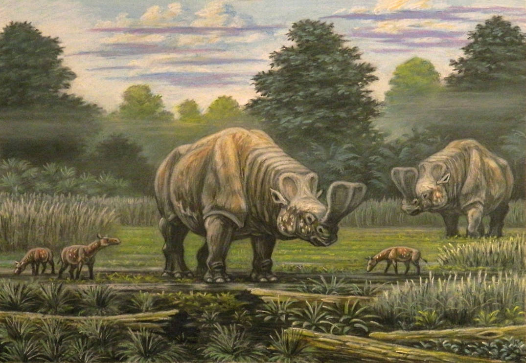 cenozoic-mammals-after-their-kinds-new-creation-blog