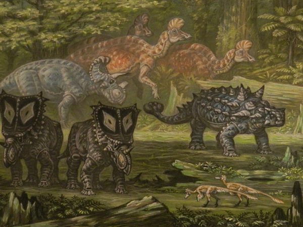 How Many Created Kinds of Dinosaurs Were There? • New Creation Blog