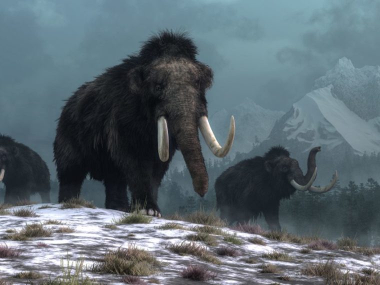 How soon after the Flood did the Ice Age begin? • New Creation Blog