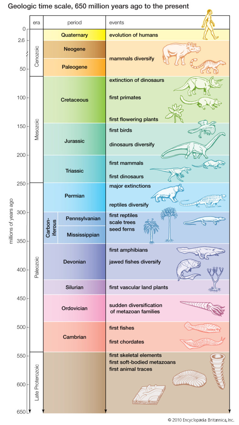 Where Is Noah s Flood In The Geologic Record New Creation Blog
