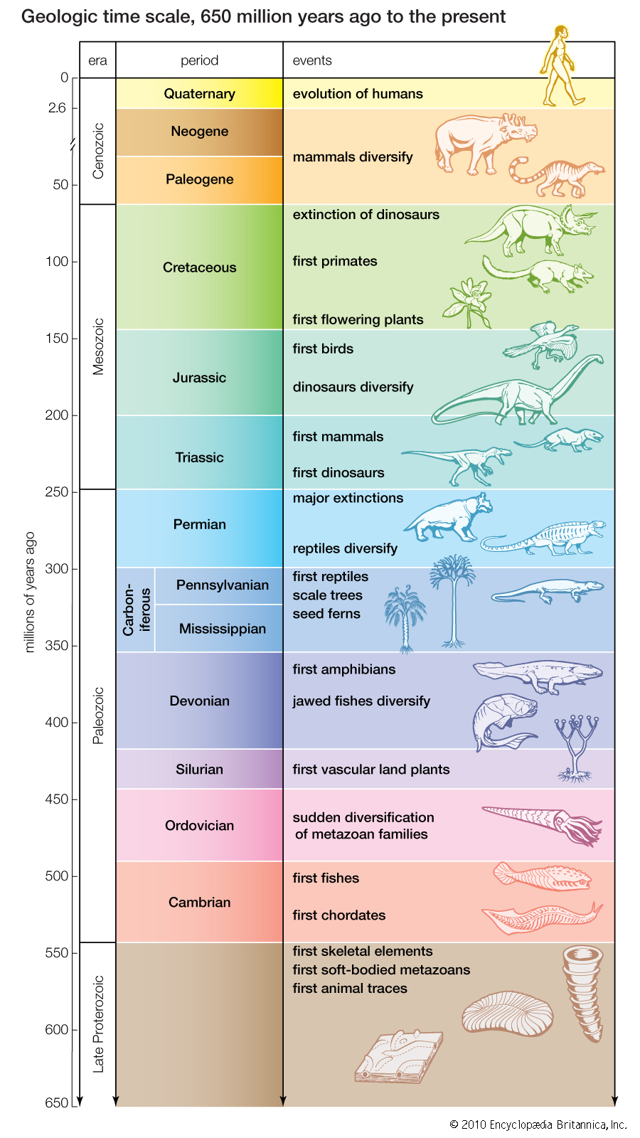 Where is Noah's Flood in the Geologic Record? • New Creation Blog