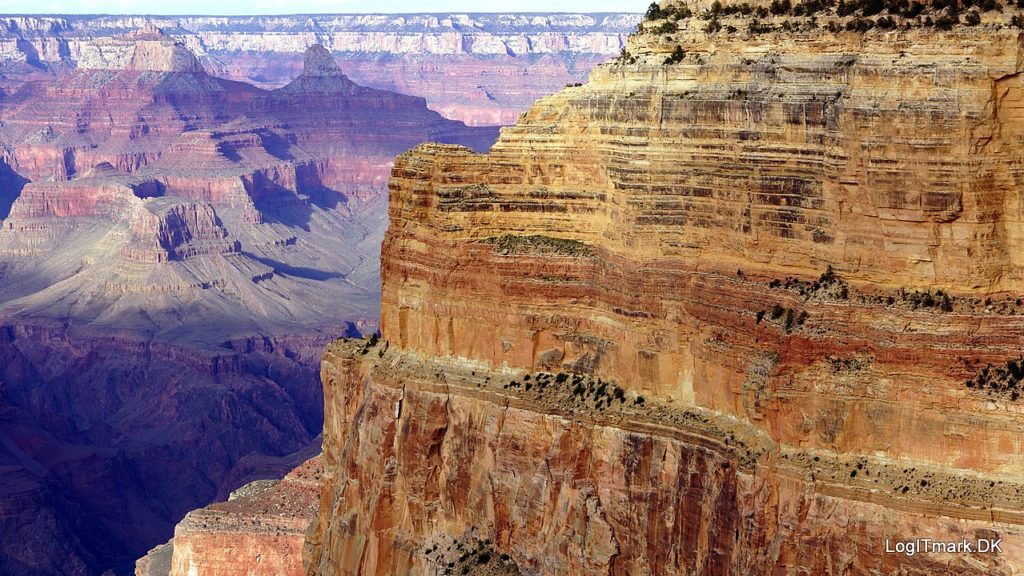 By Mickey Løgitmark, CC BY 3.0, https://commons.wikimedia.org/w/index.php?curid=58944736