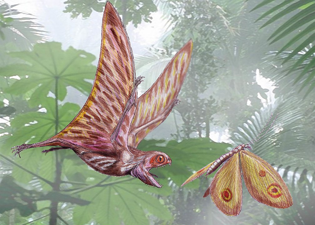 Pterosaurs could launch themselves 8 feet to soar through the air