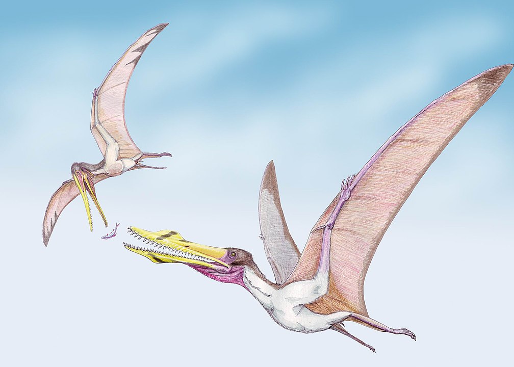 Hundreds of pterosaur eggs help reveal the early life of flying reptiles