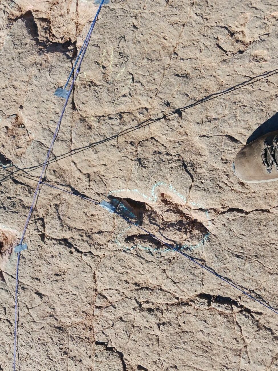 Image by Caleb LePore.