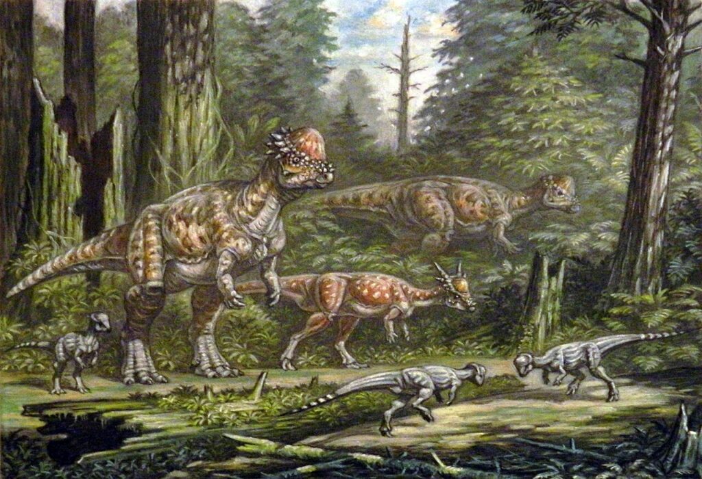 By ABelov2014 - https://www.deviantart.com/abelov2014/art/Pachycephalosaurus-Stygimoloch-Sphaerotholus-539657830, CC BY-SA 3.0, https://commons.wikimedia.org/w/index.php?curid=145529750