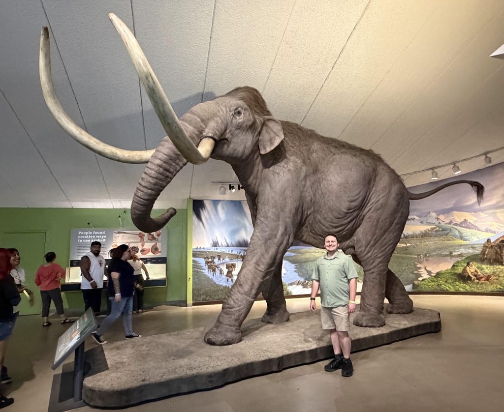 A life-sized reconstruction of a Columbian mammoth with an average-sized man standing in front for scale. The Columbian mammoth is one of many terrestrial mammals found buried at the La Brea Tar Pits.